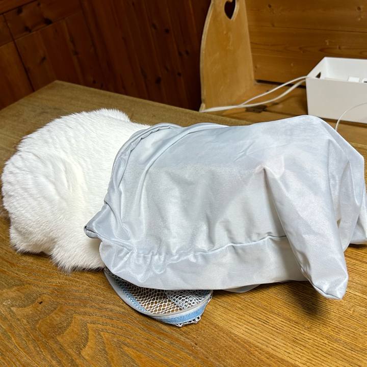 9de81c50 83c6 4b29 b4ff 1010869ea341 1689254938397