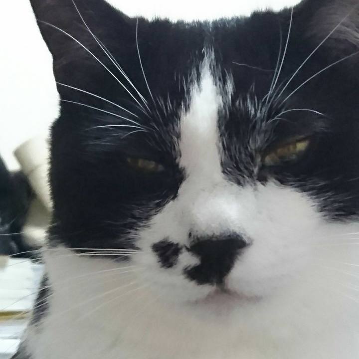 9de81fdc 9891 491e a07a 2f871a70e9be 1529071630867