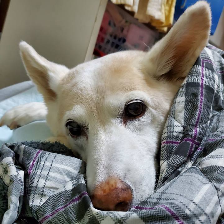 9de853b3 3750 4f26 a59e b67c3fda8d9f 1680573864999