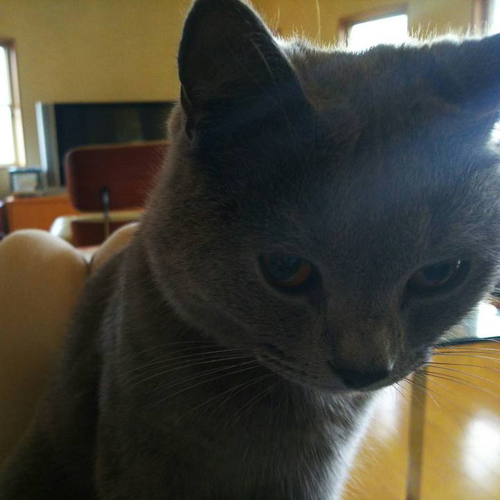 9de8beea 6f49 4d1c 80f8 dcec6179ad78 1508995084865