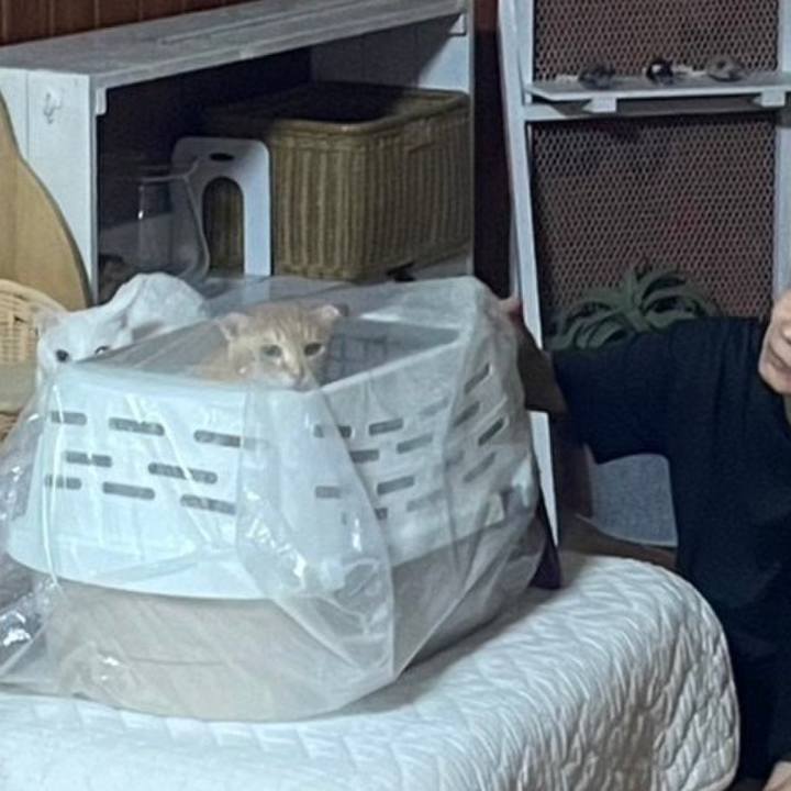 9de8c0a7 1800 45af 94fc 701ec53cf38c 1681564470739