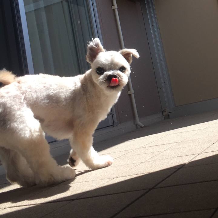 9de8f25f 8c3c 47d1 a9a3 30a998aea1cc 1534207439018