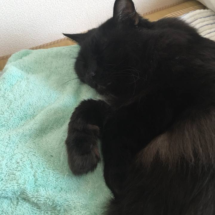 9de8f873 d239 48d4 b178 4ba870060677 1533264242220