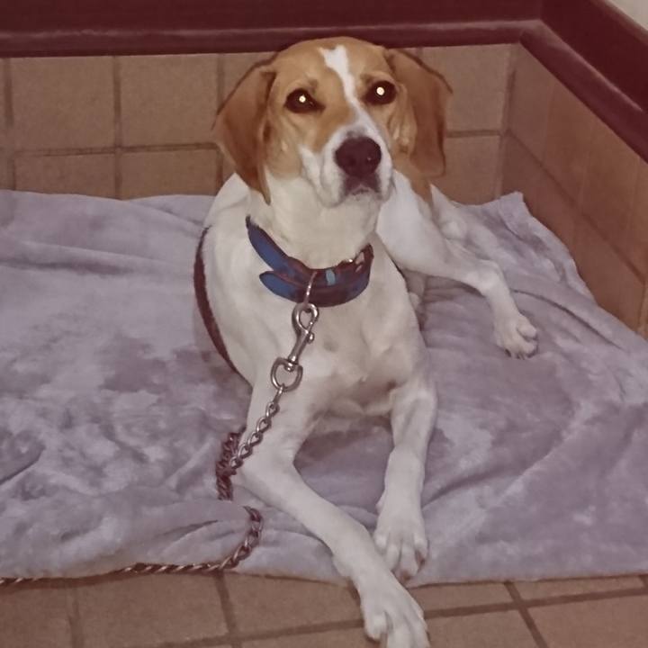 9de92e5b e7ee 4639 ac50 505ecc451afd 1568467402589