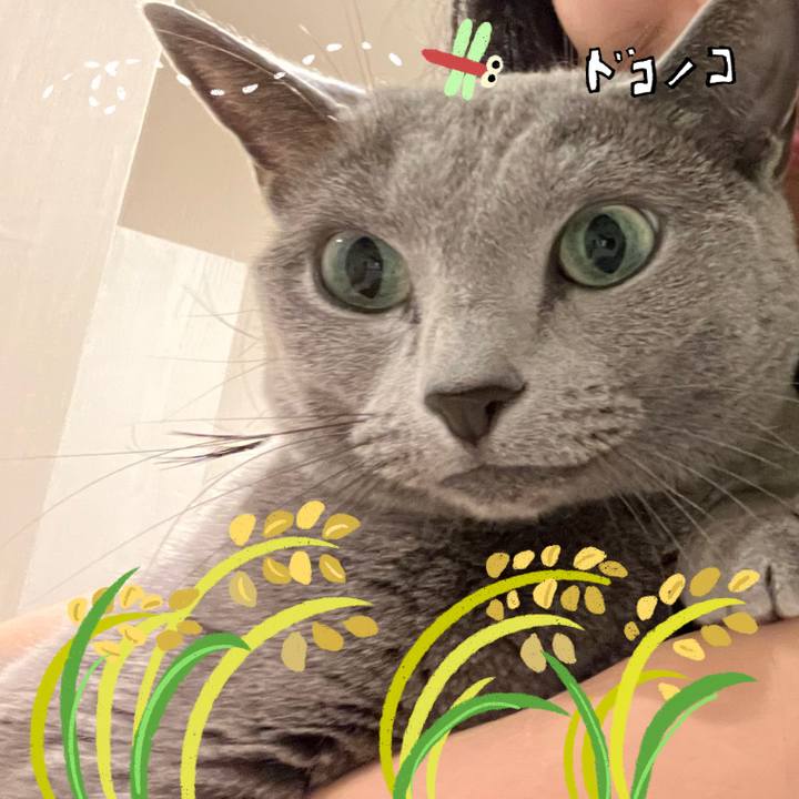 9de9740c 4807 40dd 9c6e 3b7237e0fdb4 1763381443560