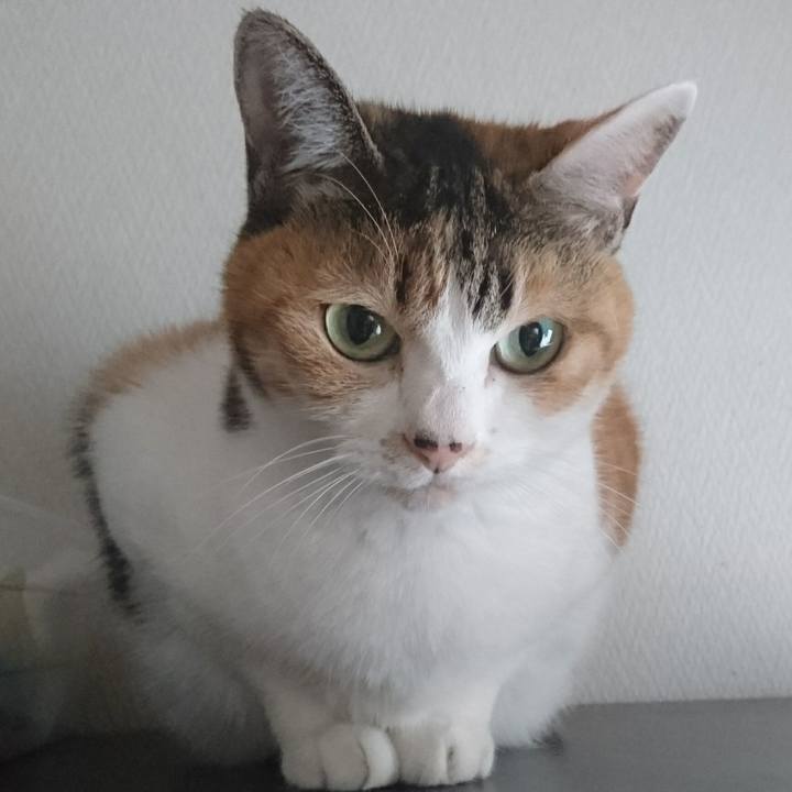 9de97774 1870 46d3 955d bc258f9695f5 1534464426112