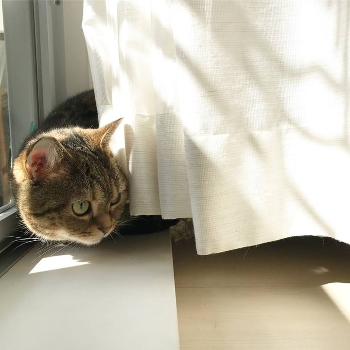 9de99855 d1ef 4276 aec0 4b560975381e 1519010877362