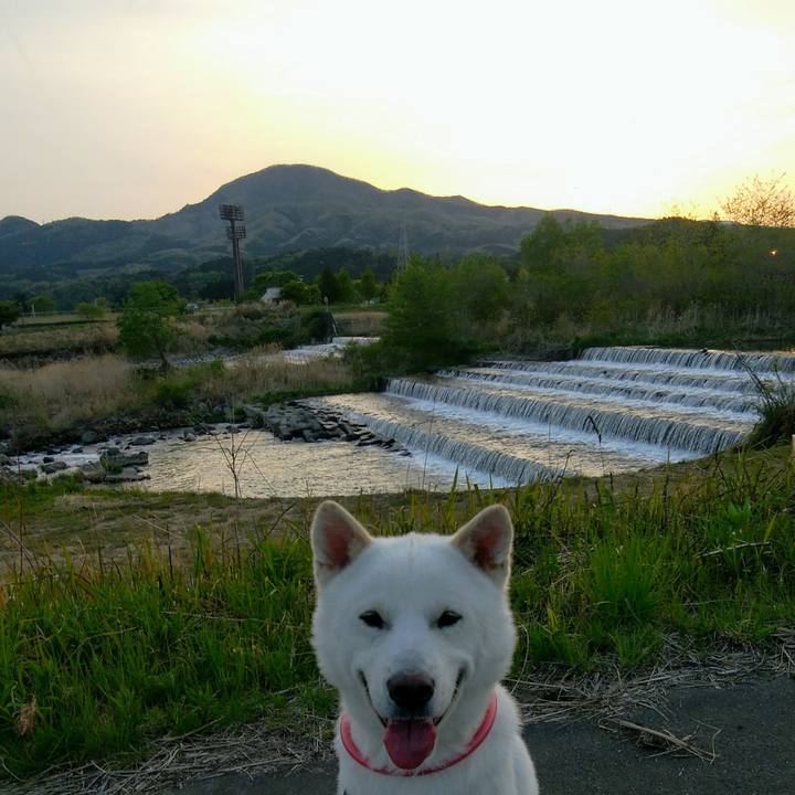 9de99a99 5d62 4aa4 aea4 1ca86f30eaae 1620128179015