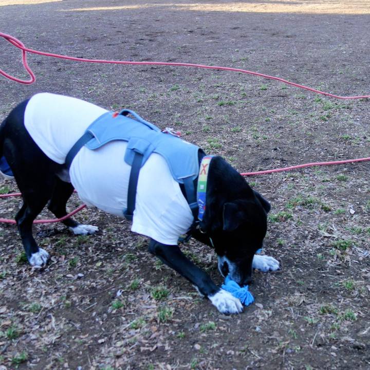 9de9d2d9 ea12 432a 8bdb 437b36d46c59 1706923777208