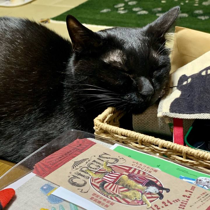 9de9e2f9 5dc7 4c5b 9914 e0f68dfadf4f 1612178505603