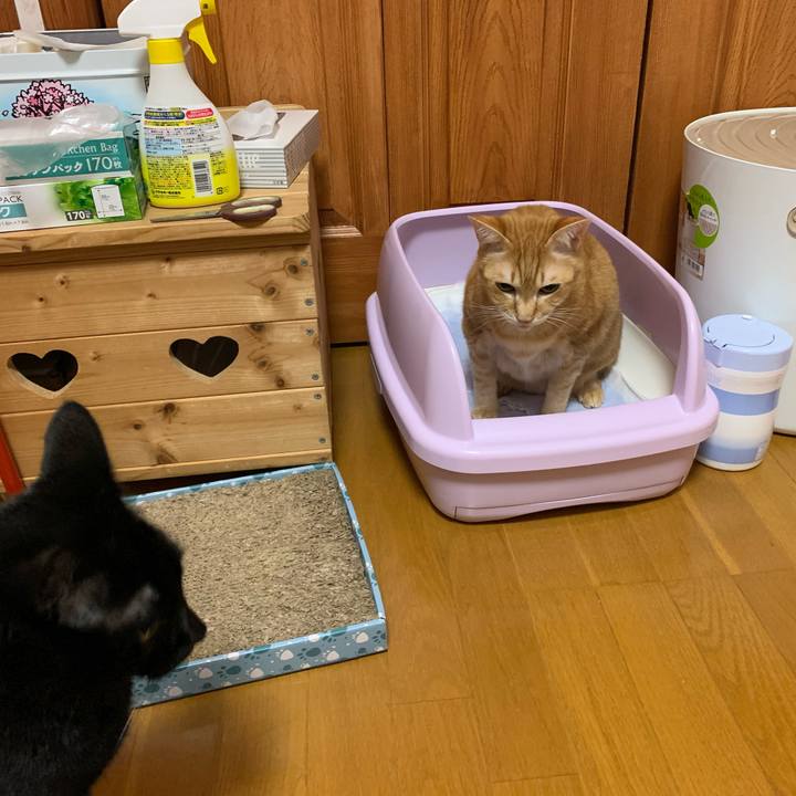 9de9eefd 44db 4b93 bc3b 678a1891aa61 1588107285697