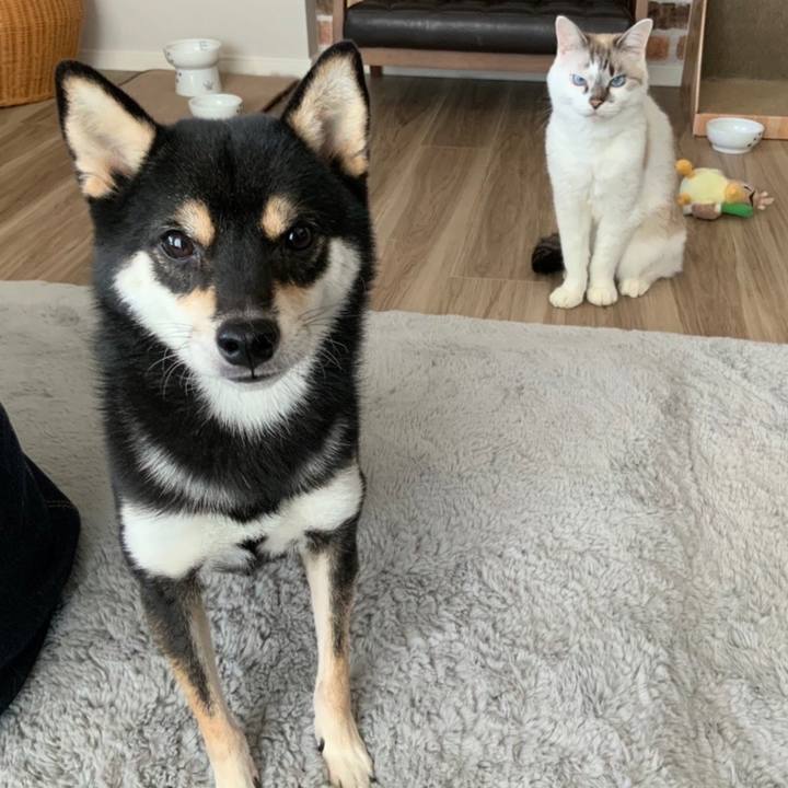 9dea0f7c 424f 4a94 bb4c 0d7f73537ab5 1669270098264