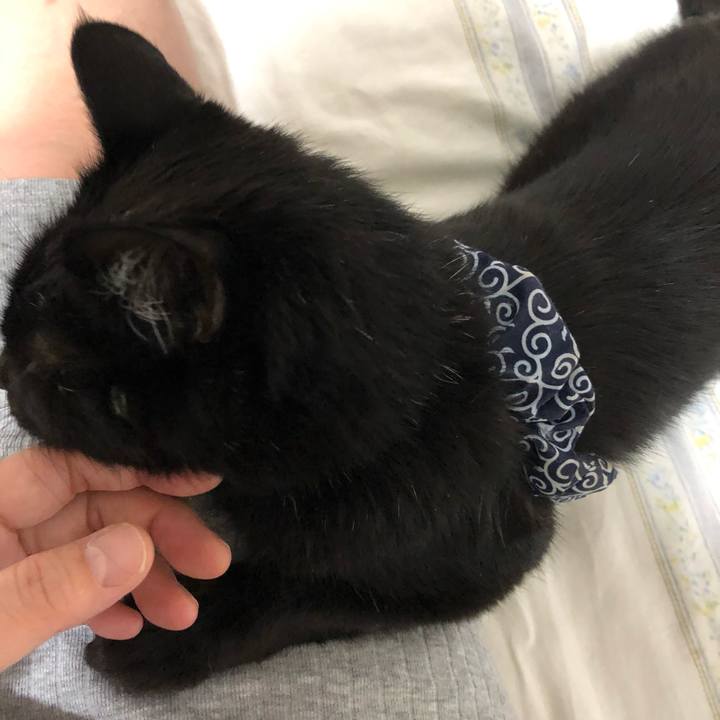 9dea80b2 cb71 4902 8dc4 cd7739fc936c 1560270789727