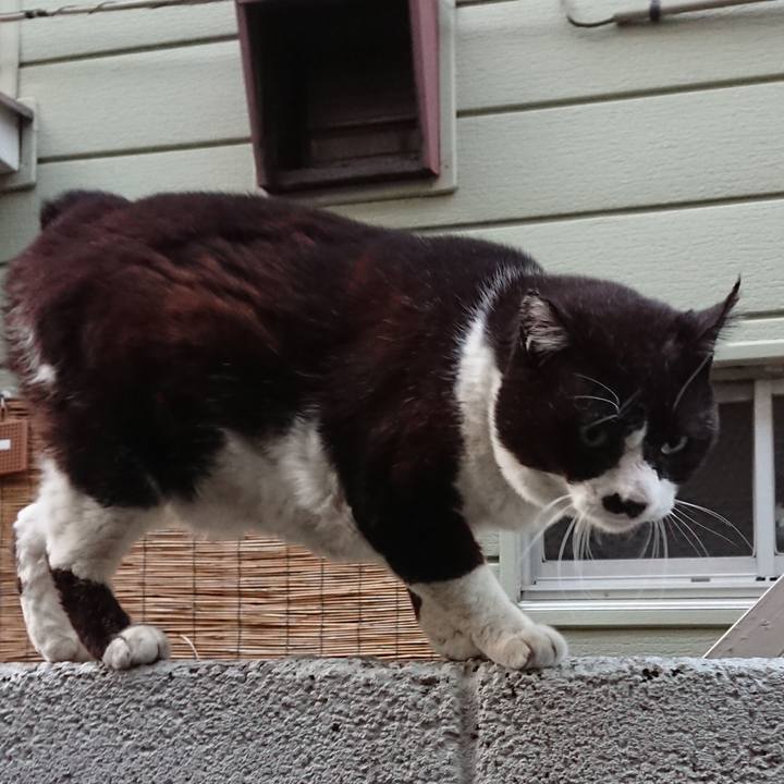 9dea956e b6ae 4b2a b8ae 628428b599fa 1613030343793