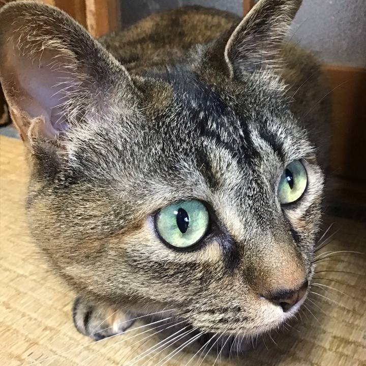 9deac08d 2f01 4702 a541 2d96b995b677 1749029990116