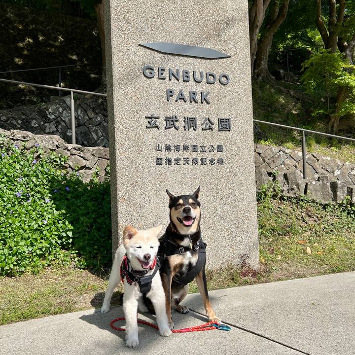 9deacd71 40bb 47c2 aa4f c365135f97cf 1746530514711