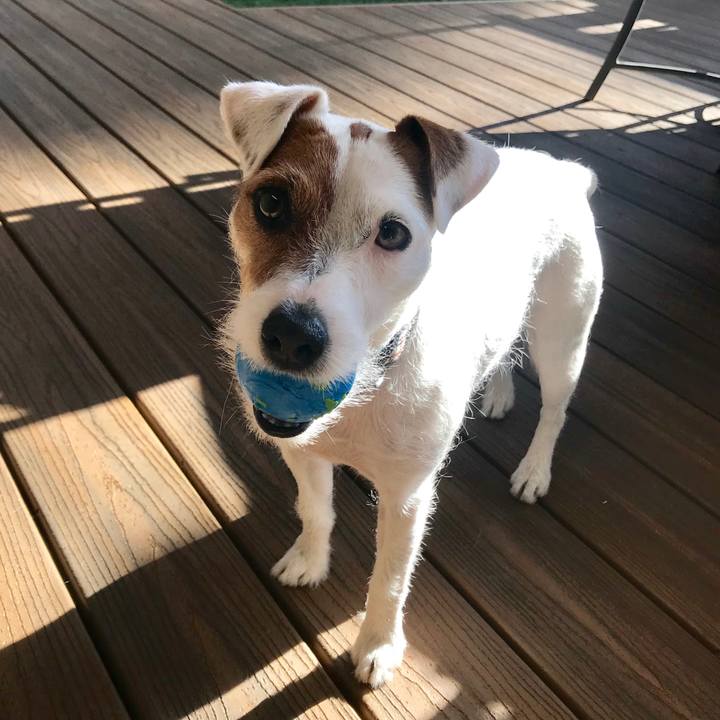 9deae505 3645 4706 82f5 047f3e15cdc0 1529457967122