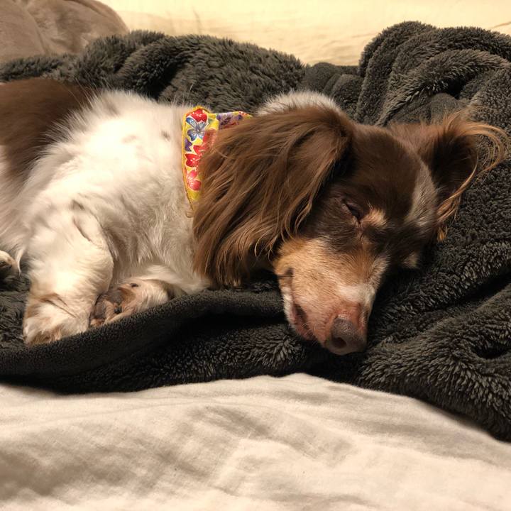 9deaf15a 6bfd 4ce6 a61b 5a6ba9485aa2 1556460083135