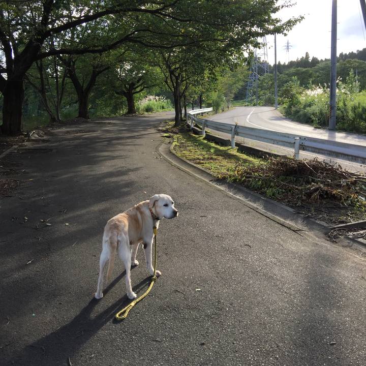 9deb057e 9725 4ffa 898c 0764d8779b38 1569387014824