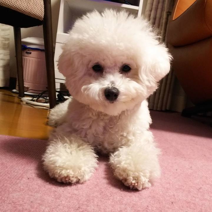 9deb21aa 5932 477b bbfc 4f9b556bc09e 1513939463119