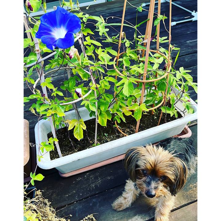 9deb42de b67b 49de 9fbb 018178fd99fb 1691362618201