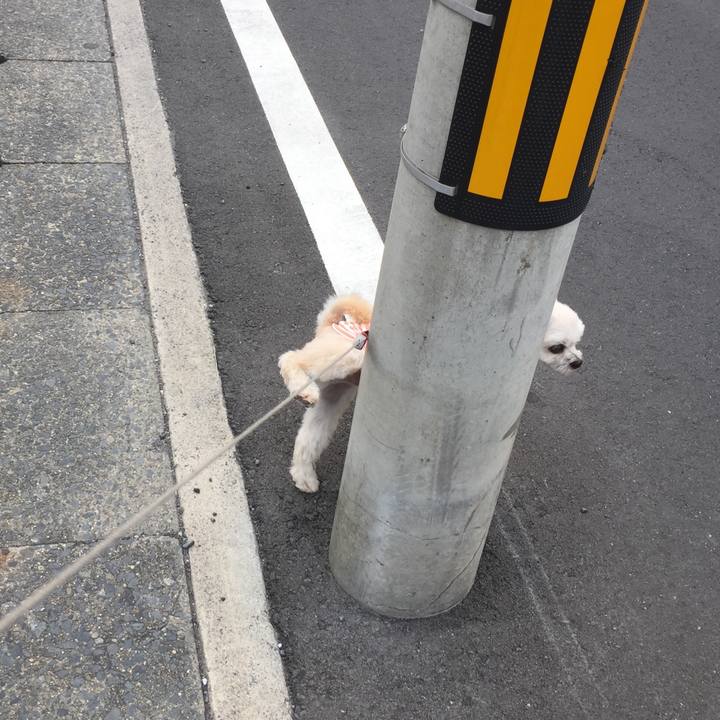 9deb5e66 fa85 4f00 84c1 c4b314945b64 1565475265853