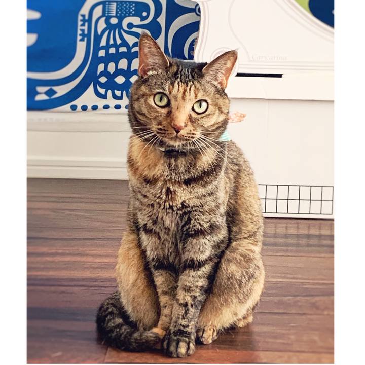 9deb6df8 658d 41f7 9abe ddeb123de50c 1559957705781