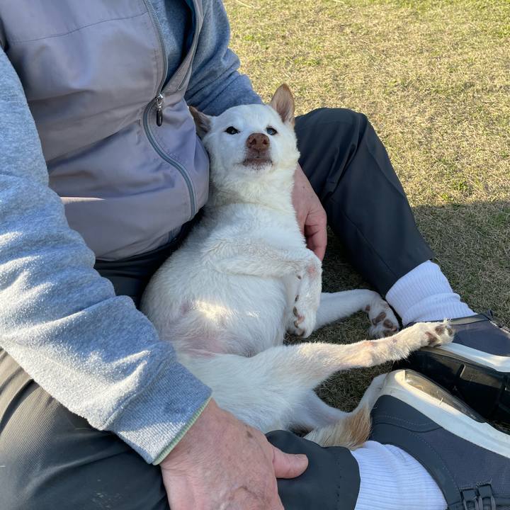 9deb9dc5 4bc8 4ad6 ab6b 11f25cd3c4d2 1679223619092