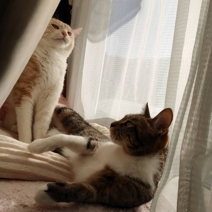 9deba1ba c6ca 47f8 b14a d62353e40471 1674102096837