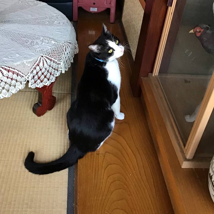 9dec444a 955e 4d11 b647 8c58bf5ce211 1742630446819