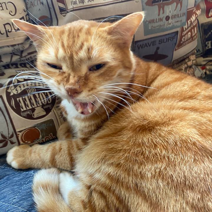 9dec4f48 7511 4666 8c46 34aef089453b 1588139256495