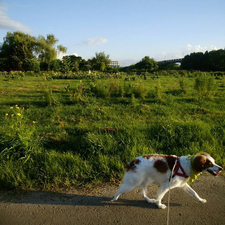 9dec7a30 c327 4953 8f70 a20de5140fd0 1565264393184