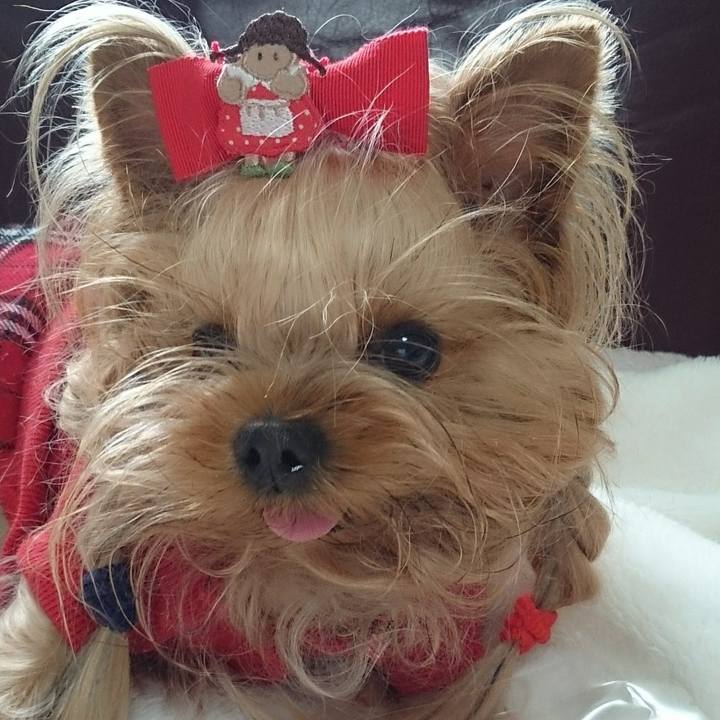 9dec7f3f a3c2 4d52 ace4 c808f82898d6 1647050080159