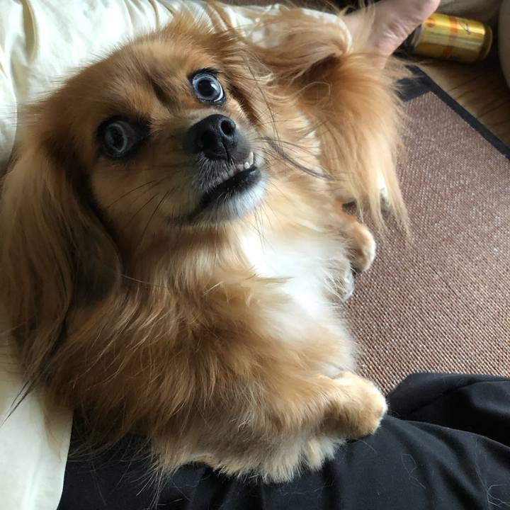 9dece3ba 5b0b 4c51 b74d 6daec40e1dab 1568325575923