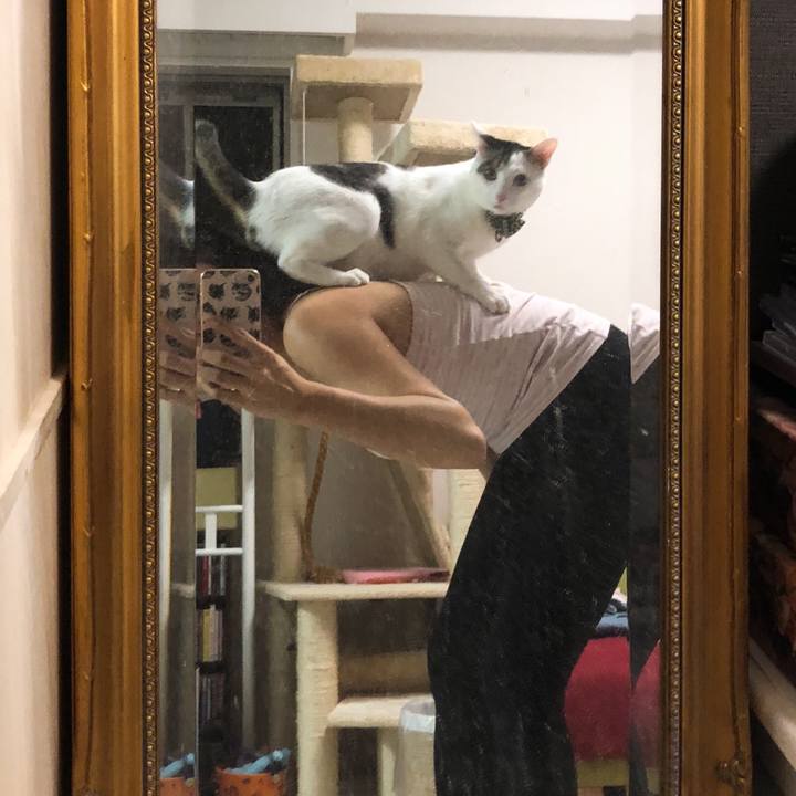 9decf903 fd9e 4f63 b74e 47a6a853e04e 1534926704508