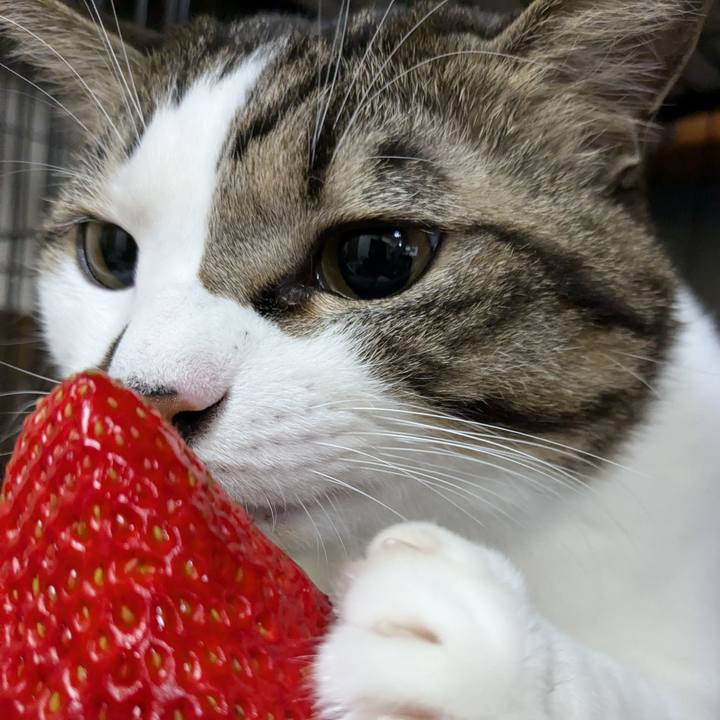 9ded062c 298d 41b6 bdbc 3fcae90b676d 1734434644731