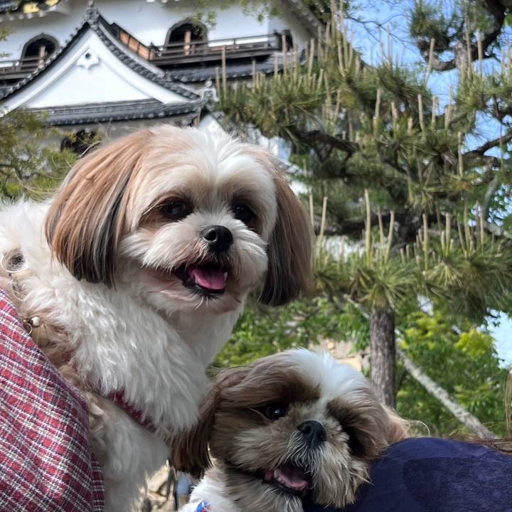 9ded0adf f61e 40f5 b54c ebad8a9cff07 1683100589978