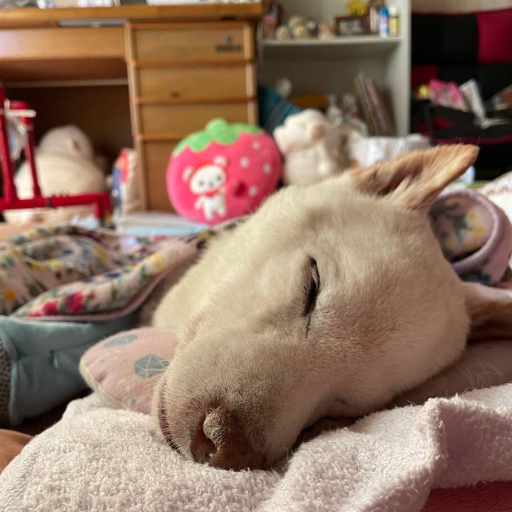 9ded2ac9 2bc4 4302 b235 35b23142e931 1674099293163