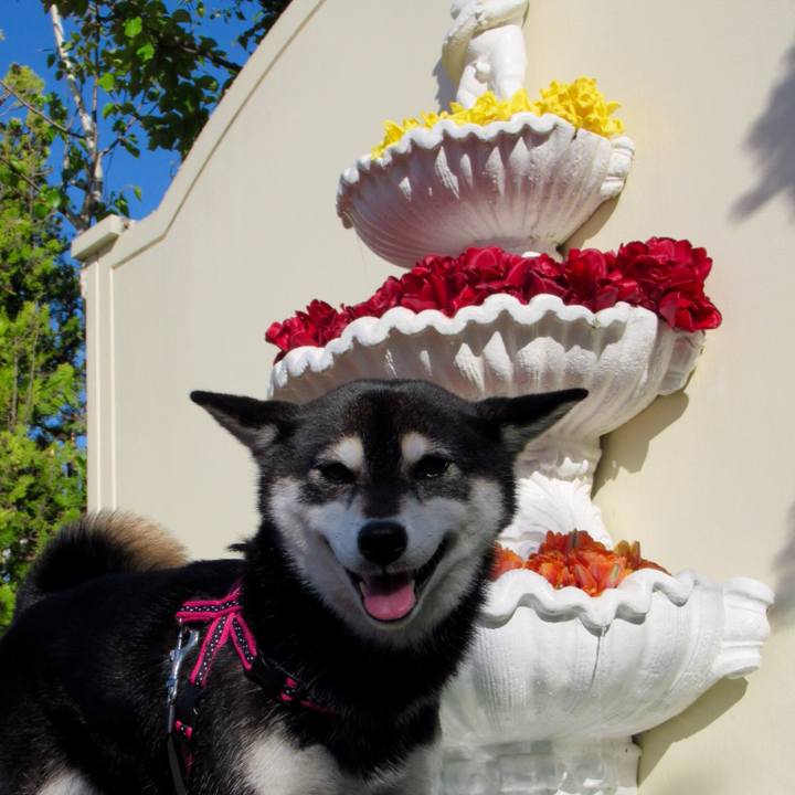 9ded311b 86e5 4166 8995 42db808158ff 1557624626003