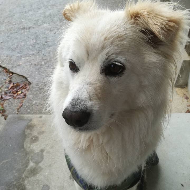 9ded44e7 ba5d 4eda 9da4 b38538478033 1527061785153