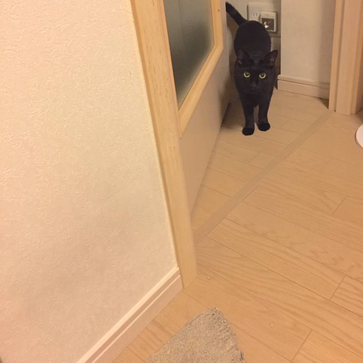 9ded45d0 553d 476a af61 7066f48de5f3 1507808740051