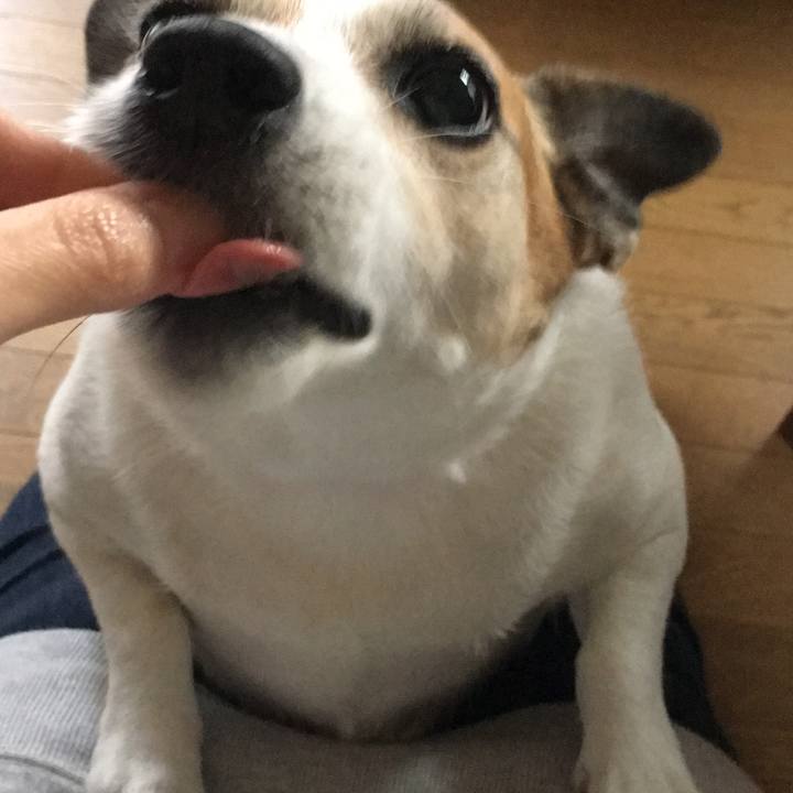 9ded97de ed0b 4399 99be 1722ef25d581 1510222165530