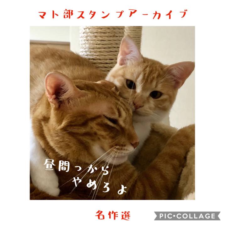 9ded9b2c 9567 4697 9815 92eccb5185ae 1578485763260