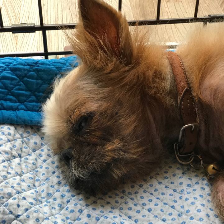 9ded9e94 8c0c 4e21 82f6 dc4be293490f 1531716765393