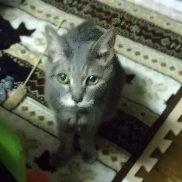 9dedffef 6cb6 4890 a909 154fac8f14a9 1698963438242