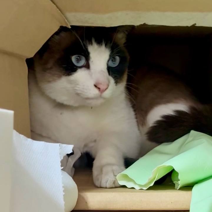 9dee2a99 99cd 4d7f b9d6 336e5b97cd5c 1774841007158