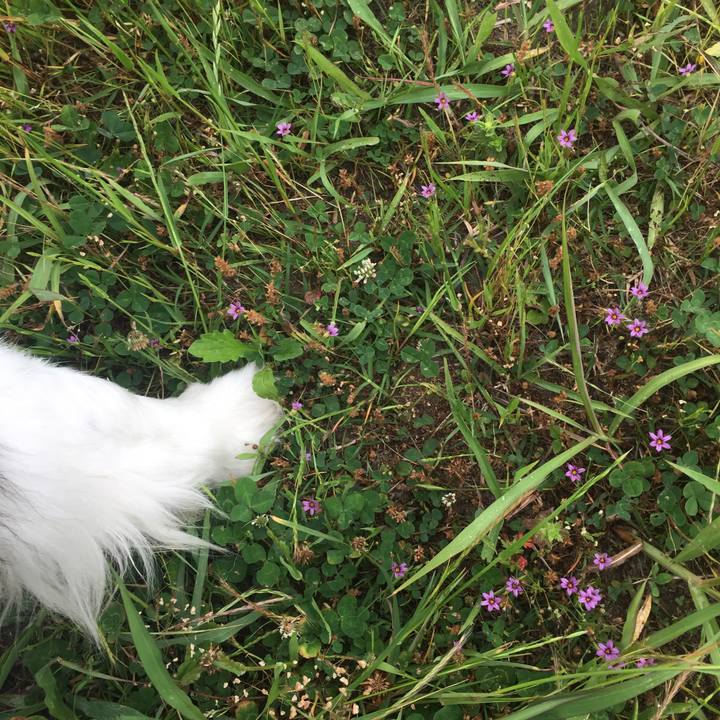 9dee3498 5931 4f91 a2a1 3ba20d4befc7 1557800700951