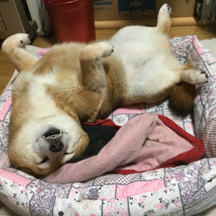 9dee3d4c bcfa 4978 bdc3 f5abffcc6045 1622119940437