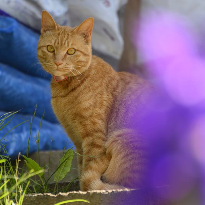 9dee426d 09fc 489b 9234 8246b155aed5 1557010431099