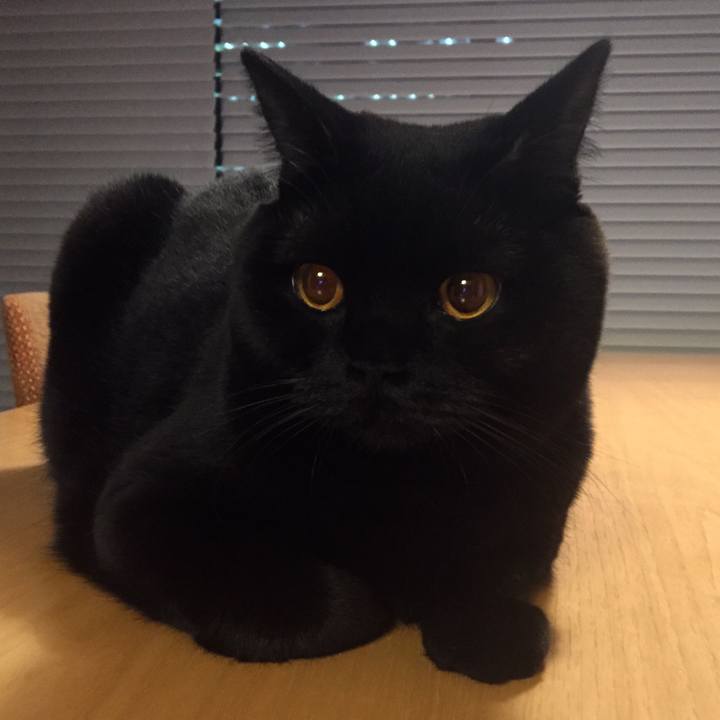 9dee51bd af32 48f7 a783 b53d689256c9 1512815161714